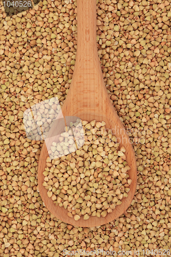 Image of Buckwheat