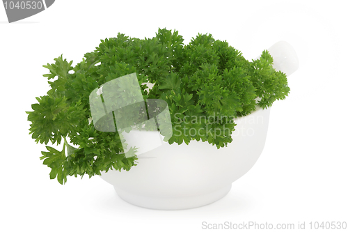 Image of Parsley Herb  