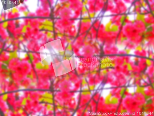 Image of Spring abstract background