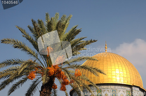 Image of Dome of the Rock Mosque and Palm Tree