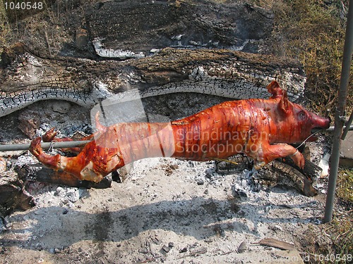 Image of Roasted pig