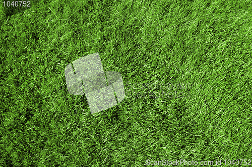 Image of Green grass background