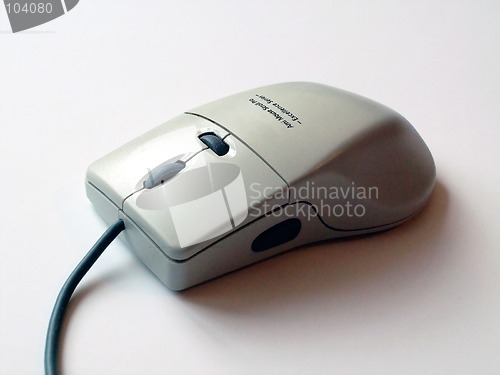 Image of Mouse