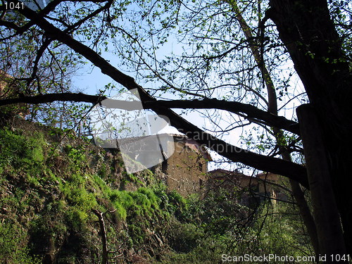 Image of Trees and old houses. Kakopetria. Cyprus