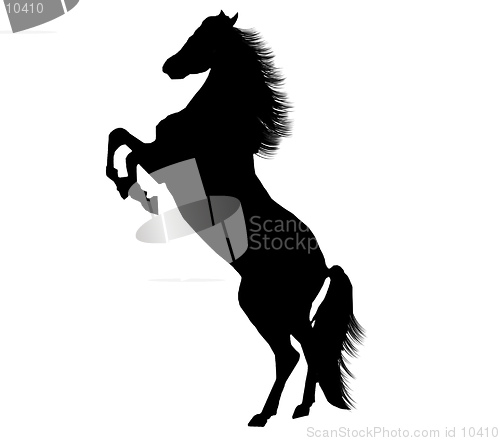 Image of A Magnificent rearing stallion in silhouette