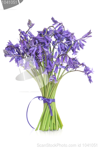 Image of Bluebell Flowers