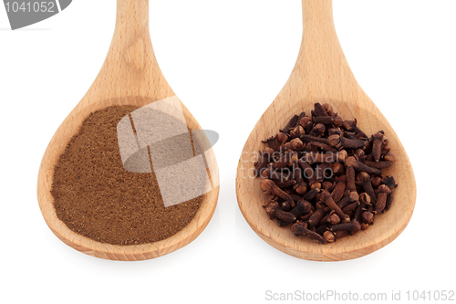 Image of Clove Spice