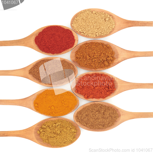 Image of Spice Selection