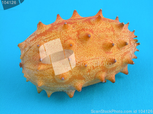 Image of kiwano