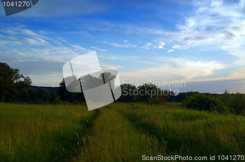 Image of Road through the meadow