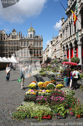 Image of Flower Market in Brussels