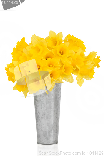 Image of Daffodil Flower Beauty