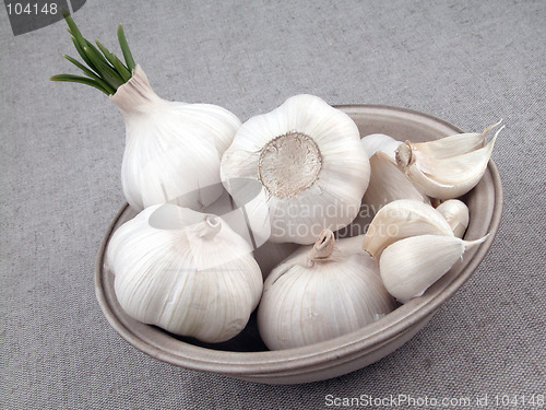 Image of garlic