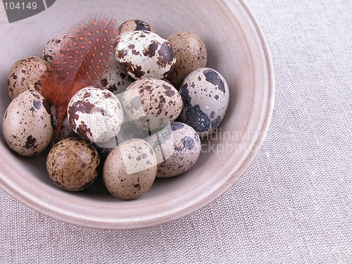 Image of quail eggs