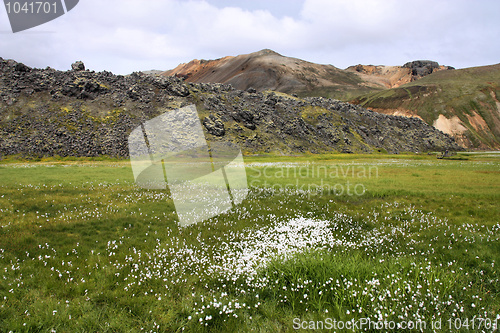 Image of Iceland