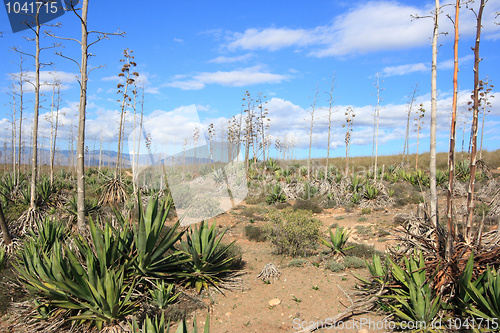 Image of Andalusia