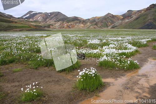 Image of Iceland