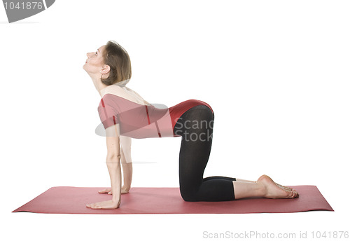 Image of Exercising woman