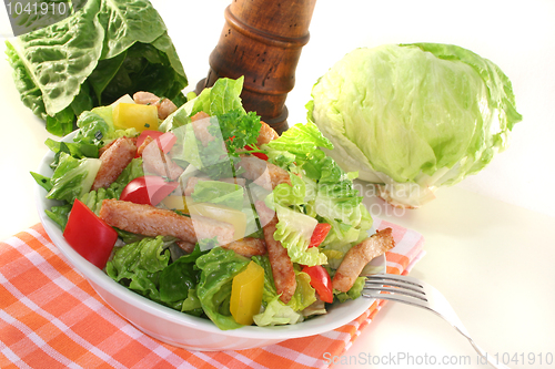 Image of Mixed salad with strips of turkey