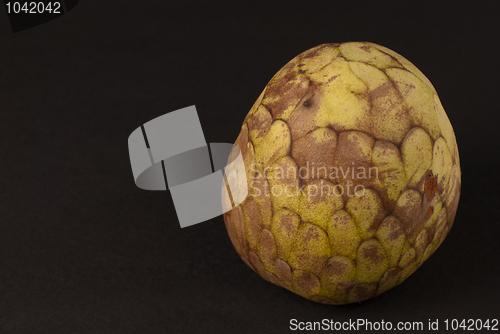Image of Cherimoya