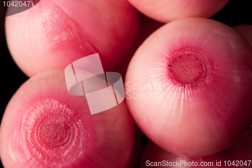 Image of Pickled red onions