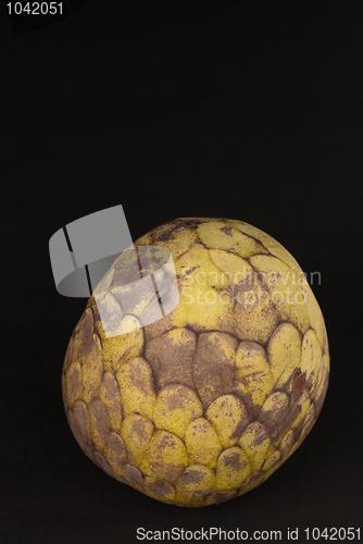 Image of Cherimoya
