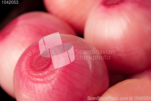 Image of Pickled red onions