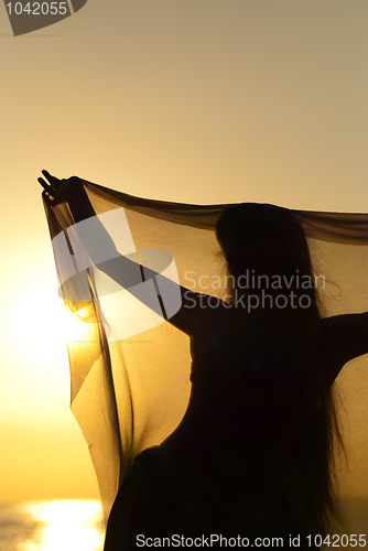 Image of Belly dancer silhouette