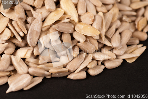 Image of Sunflower seeds