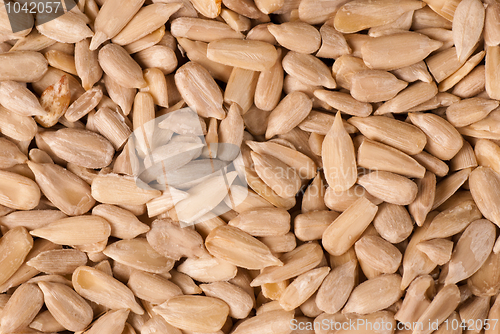 Image of Sunflower seeds
