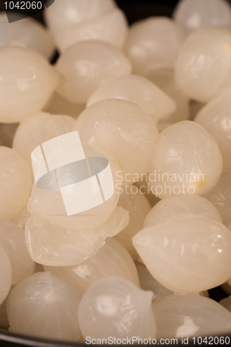 Image of Silverskig onions