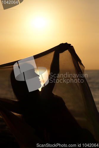 Image of Belly dancer silhouette