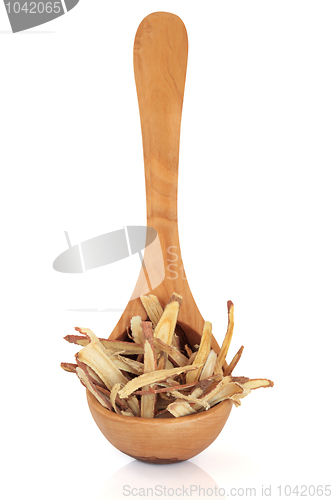 Image of Licorice Root