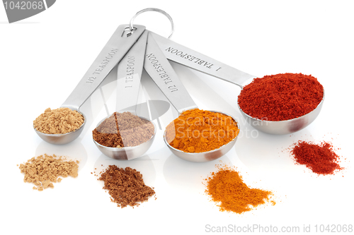 Image of Spice Measurement