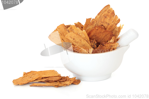 Image of Astragalus Root