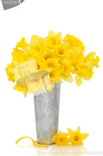 Image of Daffodil Flower Beauty