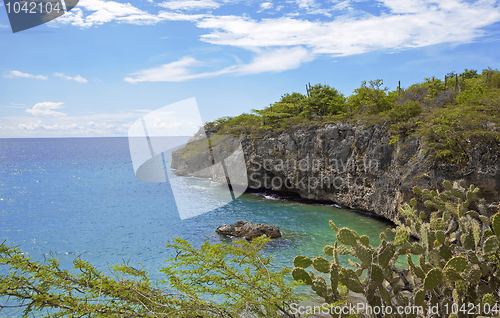 Image of Turquoise Curacao