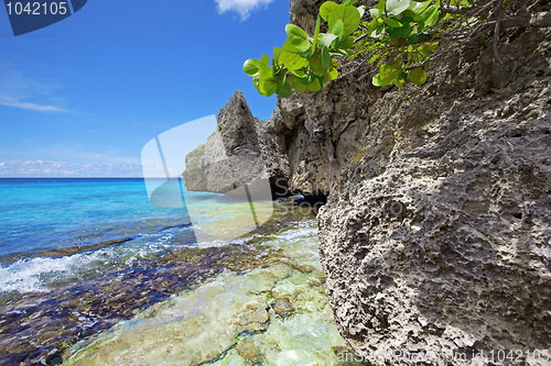 Image of Turquoise Curacao