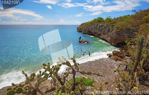 Image of Turquoise Curacao
