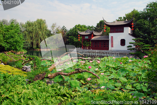 Image of Chinese Garden