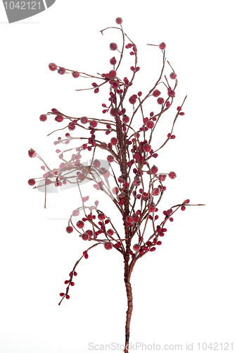 Image of Christmas arrangement