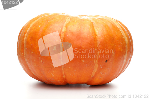 Image of Orange pumpkin