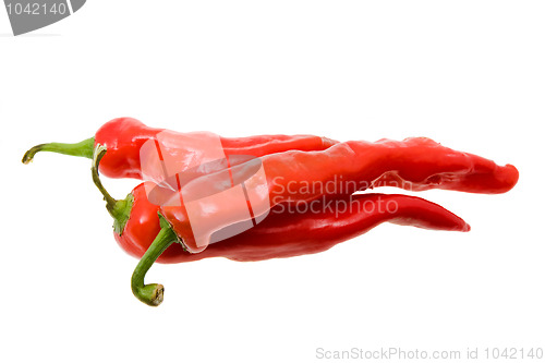 Image of Hot pepper (chili)