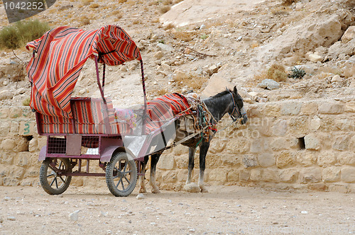 Image of Donkey and Cart at Petra