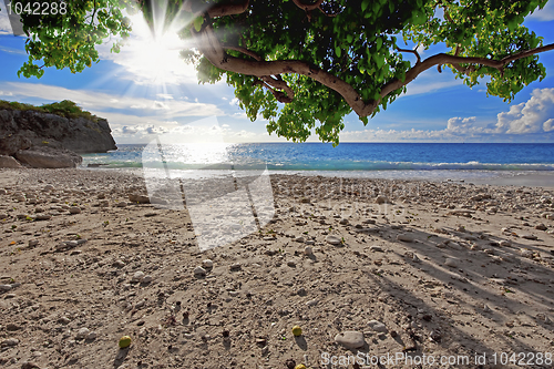 Image of Curacao beach