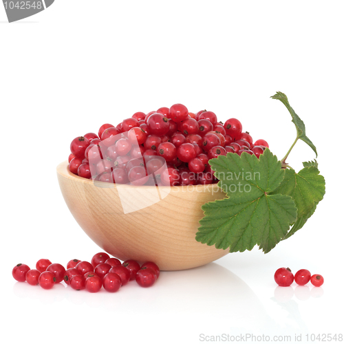 Image of Red Currants