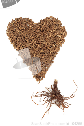 Image of Valerian Herb Root