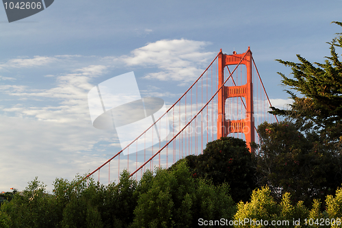 Image of Golden Gate Bridge