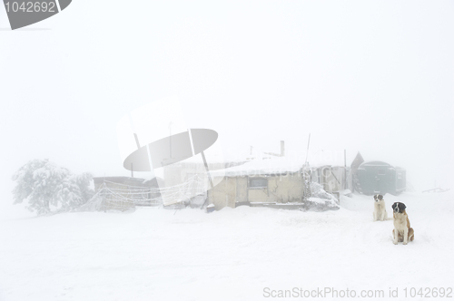 Image of Lonely building 