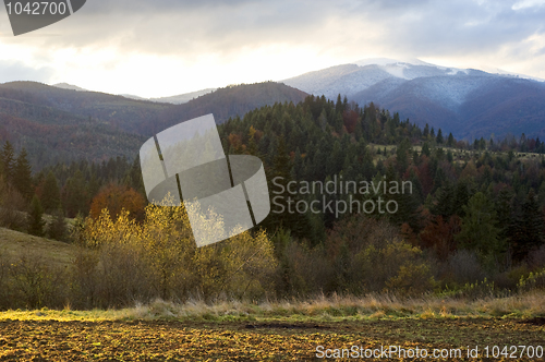 Image of Autumn in Carpathian Mountains